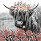 Highland Cow Tumbler