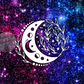 Starry Moon Tumbler